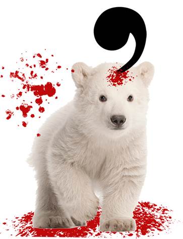 Baby polar bear clubbed by comma